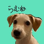 あんちょび - @annchovina - Instagram