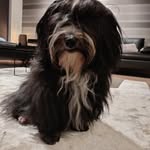Ann claes - @ann.claes01 - Instagram
