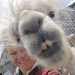 Ann Clarkson - @af_robb - Instagram