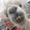 annclarkson - @annclarkson - TikTok