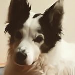 Ann Cleary - @cleary2040 - Instagram