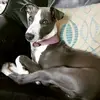 Anne Cleary - @annecleary - TikTok