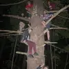 Betty Ann Cleary - @betty.ann.cleary - TikTok