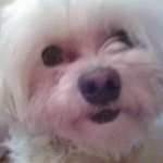 Ann Cody - @lucyloo.10 - Instagram