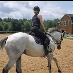 Ann Collette-Krantz - @tsdann250 - Instagram