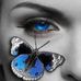 Ann Collier - Facebook