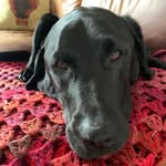 Ann Collier - @ann.collier.92102 - Instagram