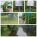 Ann Richmond Collier - Facebook