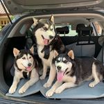 Kerry Ann Comerford - @kerrywild1974 - Instagram