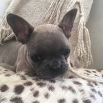 Ann Conboy - @imfrankiepankie - Instagram