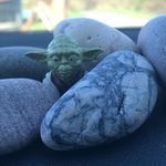 Anne Conboy - @anne_scon - Instagram