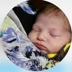 Ann Conrad Kreitz - @annconradkreitz - Instagram