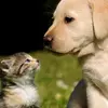 Anncontenttaoshengyijiu567 - @anncontenttaoshengyijiu - TikTok