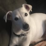 Ann Conti - @annconti256 - Instagram