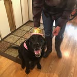 Lori Ann Converse - @loricdyry - Instagram