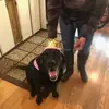 loriannconverse - @loriannconverse - TikTok