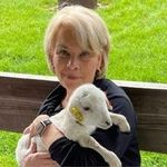 Ann Conway - @theannconway - Instagram