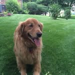 Ann Coon - @marsha.coon.9 - Instagram