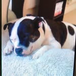 Ann Cope Was Simpson - @a.cope560 - Instagram