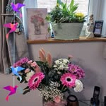Ann Coupland - @coupland.ann - Instagram