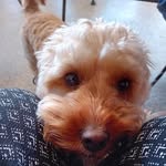 Ann Coupland - @ann.coupland.56 - Instagram
