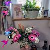 Ann Coupland - @ann.coupland - TikTok