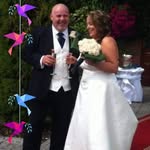 Suanne Cremins - @suannecremins - Instagram