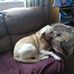Ann Dailey - Facebook