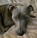 Ann Dailey - Facebook