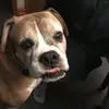 Ann.Dailey - @1pops - TikTok