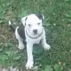 Rita Ann Dailey - @rita.ann.dailey - TikTok