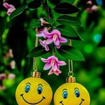 Ann Daniel - Facebook