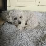 Ann Darby - @anndarby52 - Instagram
