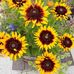 Ann Demarco - Facebook