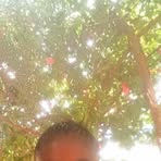 Ann Dennis - Facebook