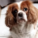 Ann De Rybel - @annderybel - Instagram