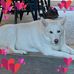 Anne Dix - Facebook