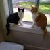 Ann Dobson - Facebook