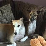 Ann Dobson - @ann.dobson.902 - Instagram
