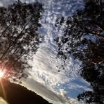 Ann Dobson - @anniedobson249 - Instagram