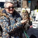 Ann Harrison - @anndobson18 - Instagram
