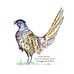 Maggie-Ann Dobson - Author - Facebook