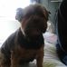 Ann Doherty - Facebook