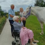 Ann Dolan - @anndolan120 - Instagram