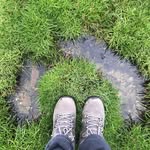 Ann Donald - @annd_made - Instagram