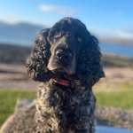 Ann Donald - @ann.d09 - Instagram
