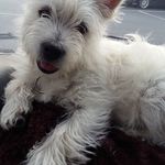 Ann Donovan - @ann.donovan.7758 - Instagram