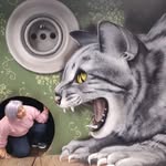 Ann Dooley - @dooley3445 - Instagram