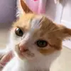 Fabyanndorr_ - @killx.z440 - TikTok