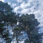 Anne Douillard - @douillard.anne - Instagram
